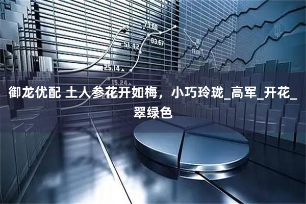 御龙优配 土人参花开如梅，小巧玲珑_高军_开花_翠绿色